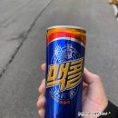 마리본문화원