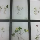 지리산허브벨리 이미지