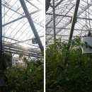 우듬지농장 이미지