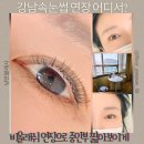 역삼1-113 | 강남속눈썹 유목민 정착 역삼역 비올래쉬에서 속눈썹 연장+언더래쉬 후기