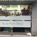 카나리아미용실