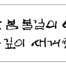 두양리 은행나무 소견 이미지