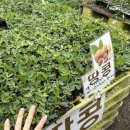 하나로농장-3 이미지