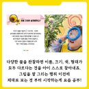 신나는미술교습소