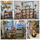 수원-0656 이미지