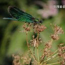 더채움공인중개사사무소 이미지