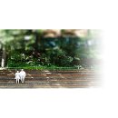 흑백Photo