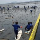 갯벌생태 체험장 이미지