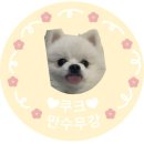 쿠크디자인