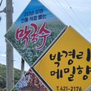 박경리 메밀향 이미지