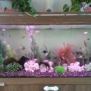 굿모닝유치원 이미지