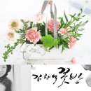 김향석꽃방