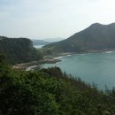돌묘와꽁돌 Daum카페