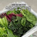 식량창고 | 식량창고에덴에서 당일수확 무농약 모듬쌈 구매 후기