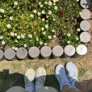 인천아시아드경기장 이미지