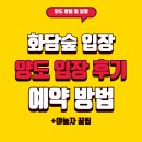 입장 | 화담숲 양도 방법 입장 후기 QR 예약 방법 (+ 야놀자 꿀팁)