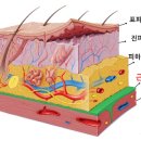 이완메디컬 이미지