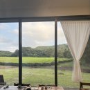 다원농장 | [제주] 올티스 티클래스 추천 Tea Mind 말차 다원 카페 녹차밭 가격 내돈내산