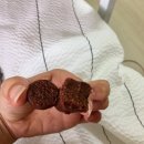 벚꽃로12길 이미지