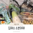 냉장고에서 야채 썩혀본 사람 손🙋 김채소 소분야채 후기