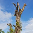 굴왓공원 이미지