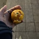 홍대<캘리술집>분위기 좋은 술집/홍대 분위기/홍대 감성술집