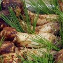 솔내음농장 이미지