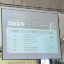 비래골길 | [대전동구] 17살 노견 콩이랑 다녀온 힐링하개 후기 + 11월 중순 계족산 단풍 현황