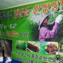 매성농장 티스토리