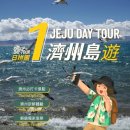 동백투어 - 해남군 중앙1로 146 | 제주 동남부 쉐어 일일 투어 (성산, 동백, 여러 명소) 클룩 후기 할인정보 예약