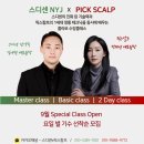 픽스칼프 이미지