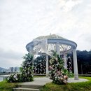 장성-06 | 장성 가볼만한 곳 추천 황룡강 코스모스 생태공원 산책길