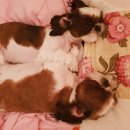 (주)노리아 이미지