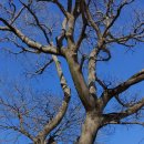 해바라기 노래연습장 이미지