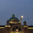 시골쥐를 부탁해 이미지