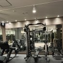성보세탁 | 바름PT필라테스 역삼점 체형교정 제대로 받고 싶다면? 디스크·골반통증까지 잡아주는 진짜 운동
