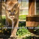 기린도서관 이미지