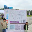 성남시청 - 지구촌 어울림축제 후기