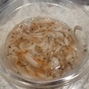 [부산동래맛집] 명장동 가마꽃돼지국밥집에서 따끈하고 맛있는 감자탕 솔직후기
