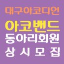 대구 아코디언 동아리 '아코밴드' 회원 모집합니다 이미지