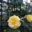 등촌고교 이미지