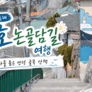 논골공영주차장 | 강원도 동해 묵호여행, 논골담길 산책 코스｜유래·주차·주변 가볼만한곳·맛집 정리