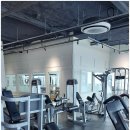 머슬피플 피트니스 이미지