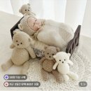 아트의소품 | 본아트 셀프 촬영 소품 대여 '르블랑스튜디오' 후기