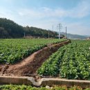 지천보건진료소 이미지