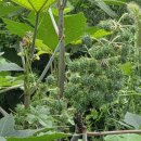 도룡 경로당 이미지