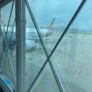 코리아 파이트짐 | [2025 방콕] 세 모녀의 꽉 찬 3박 4일 방콕 푸드파이터 여행 1일차