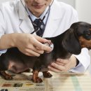 뉴타운동물병원 이미지