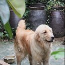 도도농장 이미지