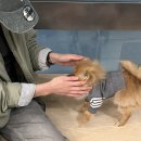 카페스토어 이미지